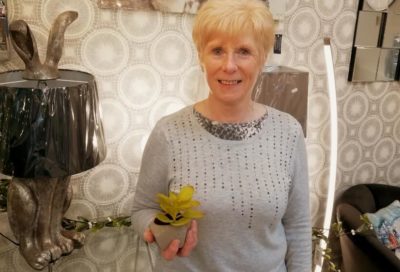 Meet The Team Thompsons Lighting & Interiors meet the team thompsons lighting larne northern ireland